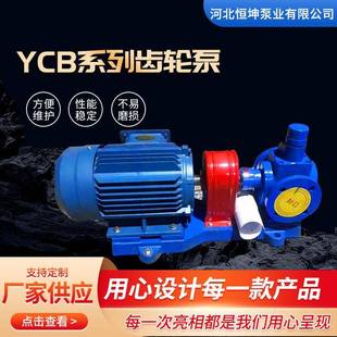 铸铁YCB圆弧齿轮泵自吸式 抽油润滑泵电动输送液压齿轮泵