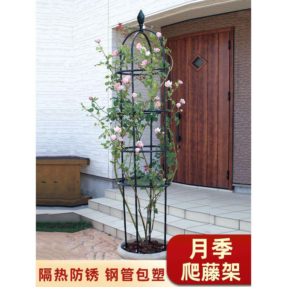 月季植物花架爬藤架阳台庭院铁艺架子户外花柱攀爬藤架花盆花支架