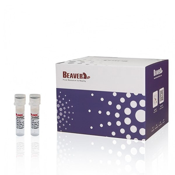 海狸CD3/CD28T细胞激活磁珠