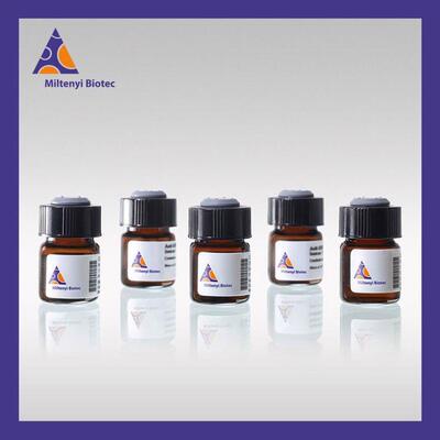 美天旎FoxP3染色缓冲液磁珠分选
