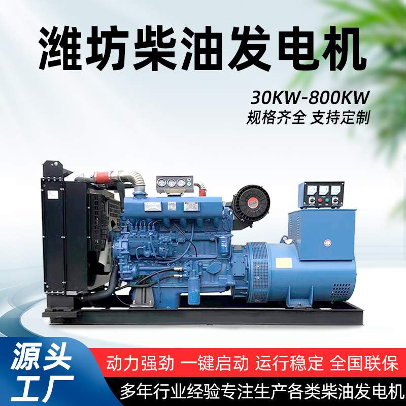 潍坊潍柴柴油发电机组 100kw200 300千瓦 工厂养殖场备用发电站
