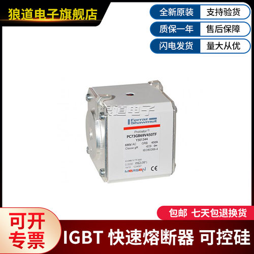 PC73GB69V450TF-Y301344PC73GB69V500TF-C301716罗兰快速熔断器