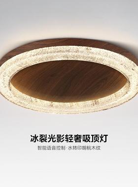 意式极简客厅树脂吸顶灯现代简约高端设计师中古风主卧房间灯