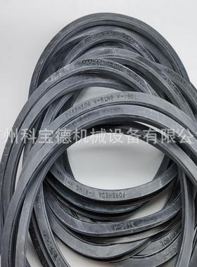 FORSHEDAV-RING密封圈V-160L型油封VAVSVL水封TWVL01600-N6T50