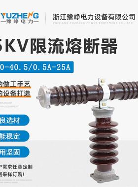 RXWO-40.5/0.5A陶瓷T型RW9(10)快速保护PT户外高压限流熔断器35KV