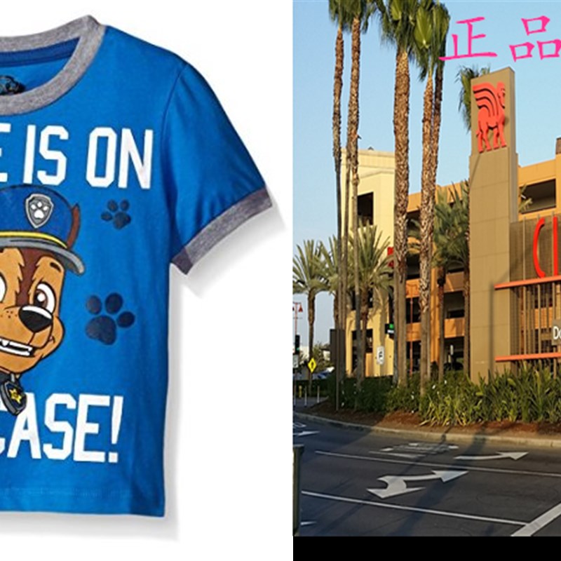 Paw Patrol Boys Chase In On The Case! Front and Back Puff