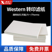 适用伯乐mini Western blot湿转转印滤纸转膜滤纸WB蛋白转印 天能