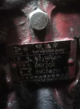 龙泵喷油泵 BP13G6 大柴配套 1111010-F569 油泵总成 原厂现货