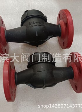 LXS- 32  水表 PP水表（全）塑料水表PVC水表 DN40DN50