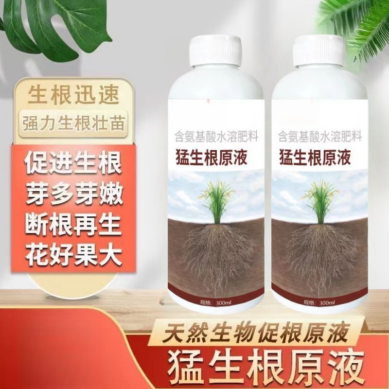 猛生根原液正品厂家直销强力发根生根壮根剂蔬菜果树扦插移栽育苗