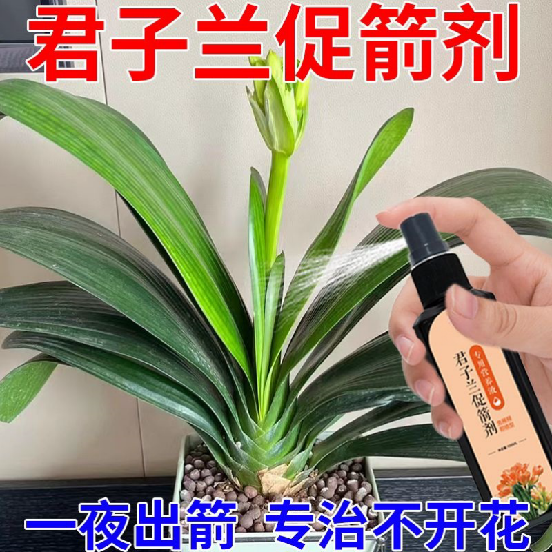 君子兰营养液专用肥急救叶子发黄烂叶烂根促箭剂催花免稀释液体肥,鲜花速递/花卉仿真/绿植园艺,家庭园艺肥料,淘宝优惠券,粉丝福利购,淘宝优惠卷