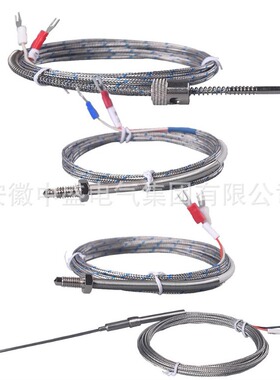 双支端面热电阻端面热电阻WZPM2-201 PT100