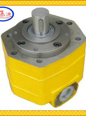 BB-BD25 BB-BD32摆线齿轮泵