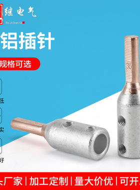 GTLA铜铝过渡插针断路器空开电表转接头铜线铝线16/25/35接线端子
