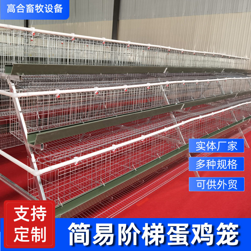 蛋鸡笼养鸡场层叠阶梯式家用养殖笼子镀锌三层五门简易阶梯蛋鸡笼