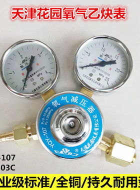 天津东花园东仪牌YQY-107-08YQE-03氧气乙炔表调节阀减压器压力表