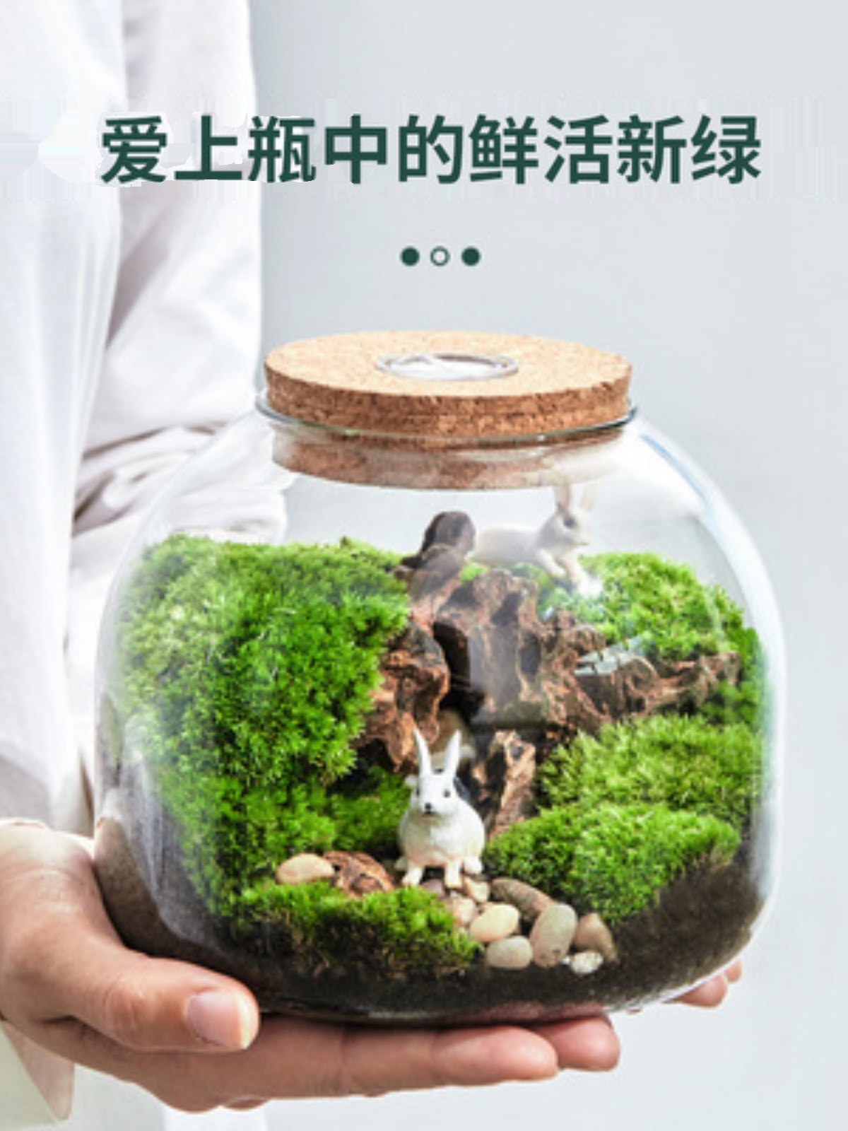 促销微景观生态瓶苔藓玻璃瓶水培植物玻璃花瓶造景玻璃容器带灯