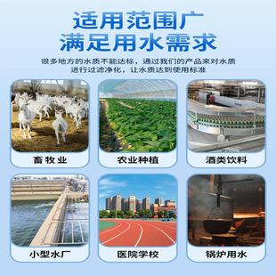 反渗透设备0.25吨0.5吨工业净水设备商用净水器简易水处理设备