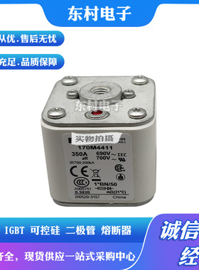 熔断器170M4443 170M4444 170M4445 170M4446 170M4447全新现货