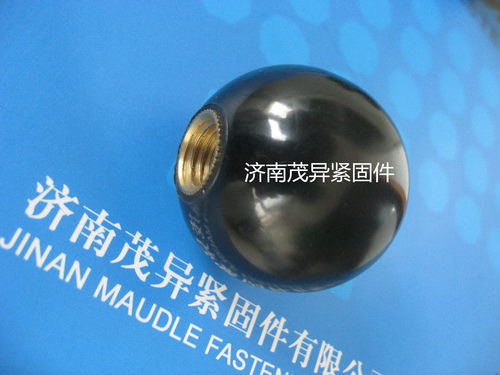 圆球形盖型盲孔螺母DIN319