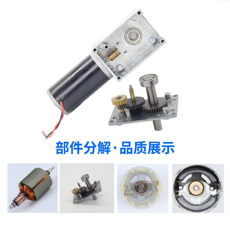 5840-31ZY轮ZXV杆微型直可流减速涡电机大扭力调速直角低速小蜗马