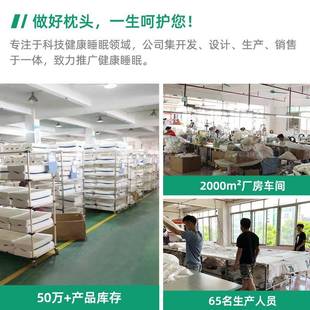 5清记忆枕成人男宿舍凉成人凝睡5D护颈凝眠家用单 D护颈胶枕头夏季