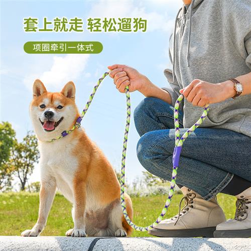 厂家p链中小型犬专业训犬防爆冲德牧防挣脱狗狗牵引绳夏天套脖子