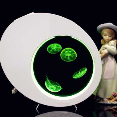 专业水母活物缸桌面小型智能加温鱼缸活水母宠物珊瑚小丑鱼海水缸