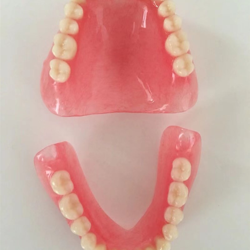 新品全口老年牙 全口牙齿模型 A展示用品 全口假牙 活动牙 可摘义
