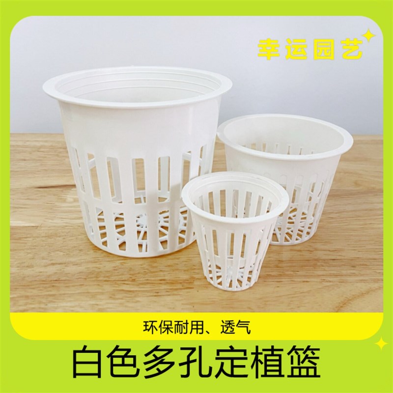速发白色多孔定植篮 鹿角蕨水培网盆适用于蝴蝶兰生根控根育苗塑