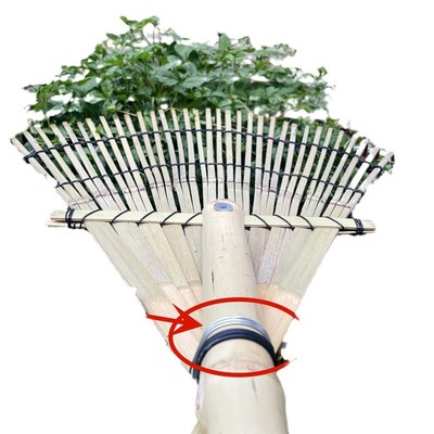 速发竹耙子 户外搂草坪 落叶农村老式园艺工具大耙子小竹扫