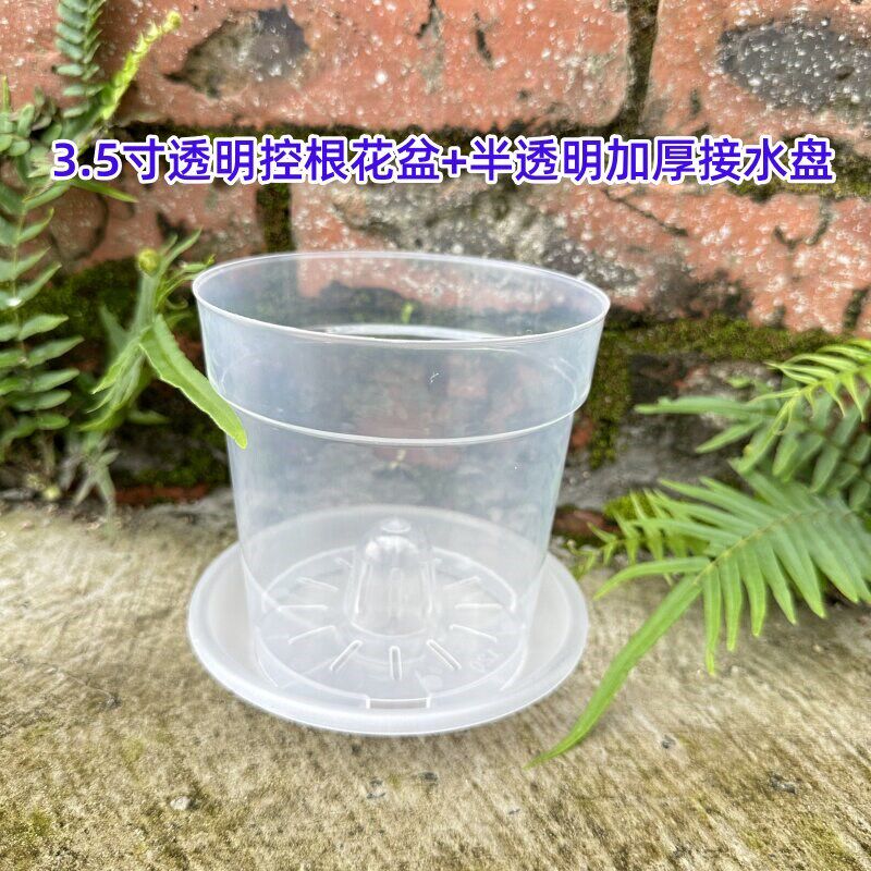 速发蝴蝶兰专用花盆透明育苗杯硬植杯石斛洋兰沥水透气带空气柱防