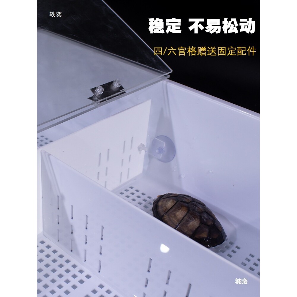 粪便隔离饲养箱盒发带盖分离沉淀乌龟色板盒隔离盒龟苗育苗防咬尾