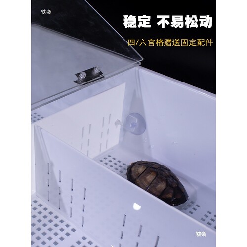 粪便隔离饲养箱盒发带盖分离沉淀乌龟色板盒隔离盒龟苗育苗防咬尾