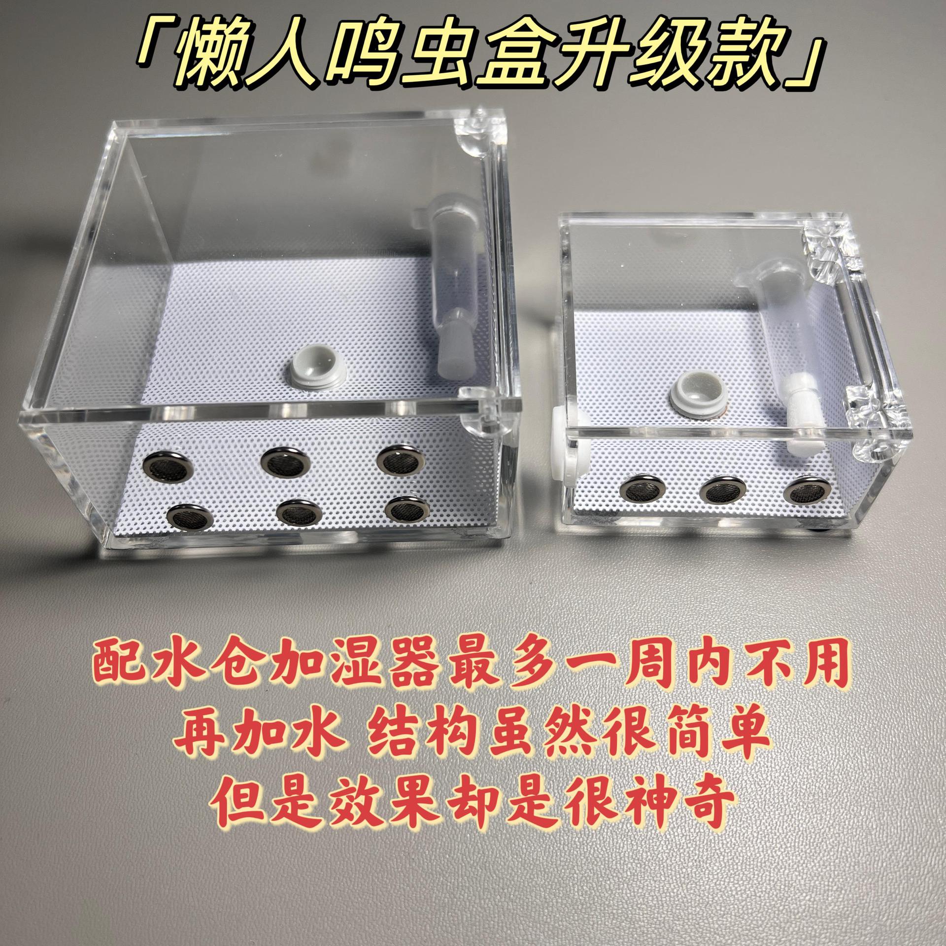 级款懒人鸣虫盒跳蛛饲养盒大黄蛉小黄蛉竹蛉电报蛉金钟霍氏片蟋
