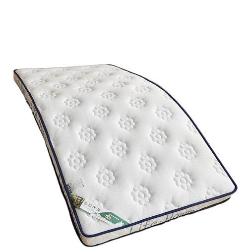 乳胶床垫海绵垫子家用榻榻米记忆棉软垫单人学生宿舍专用护脊