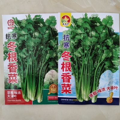【抗寒冬根香菜种子】大叶香菜种子老香菜种子青菜种籽春夏秋季