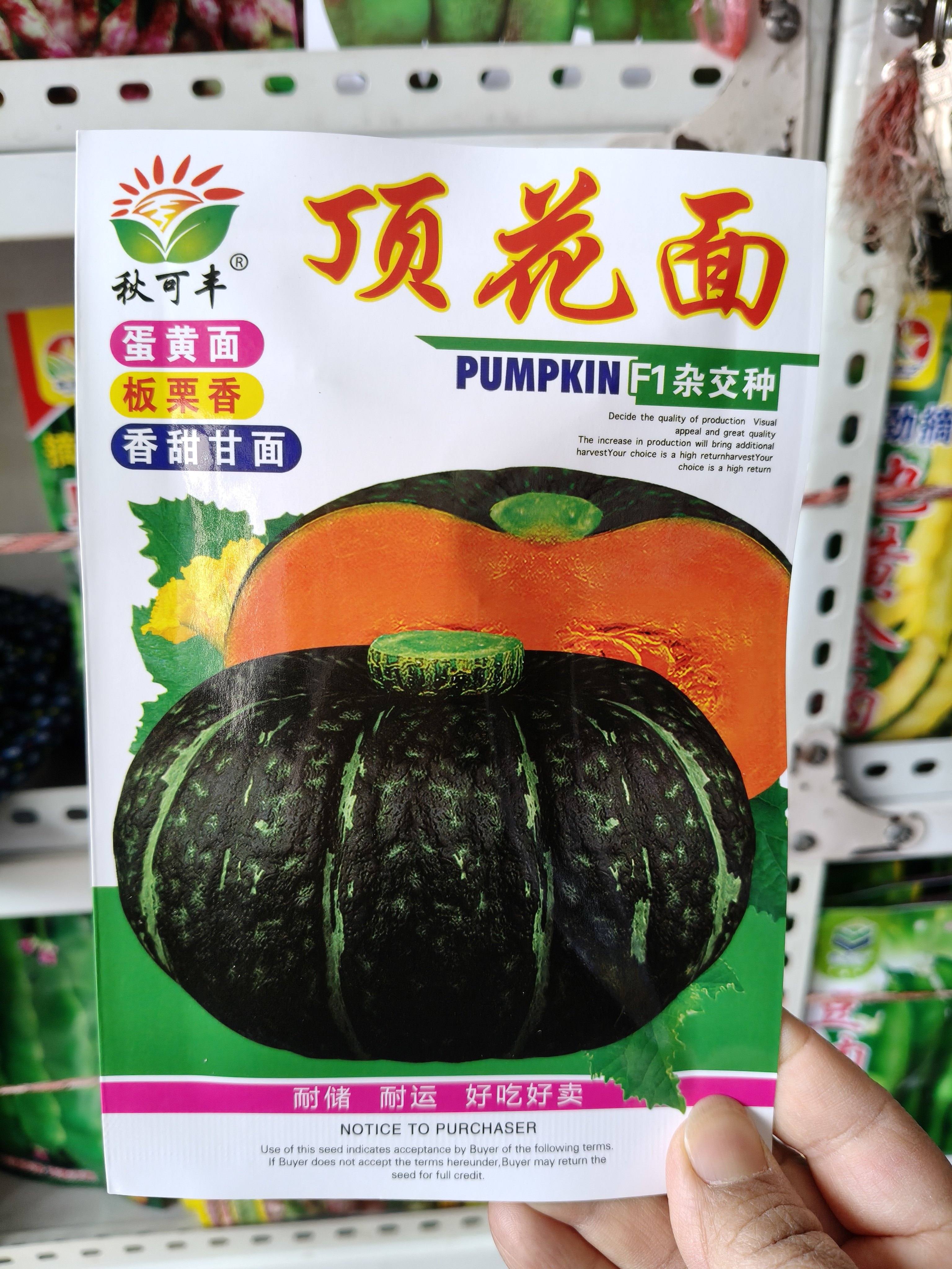 顶花面板栗南瓜种子板栗味粉糯香甜栗窝瓜籽板栗南瓜