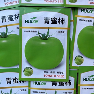 贼不偷青苹果番茄种子甜面起沙大果 青蜜大柿子种子