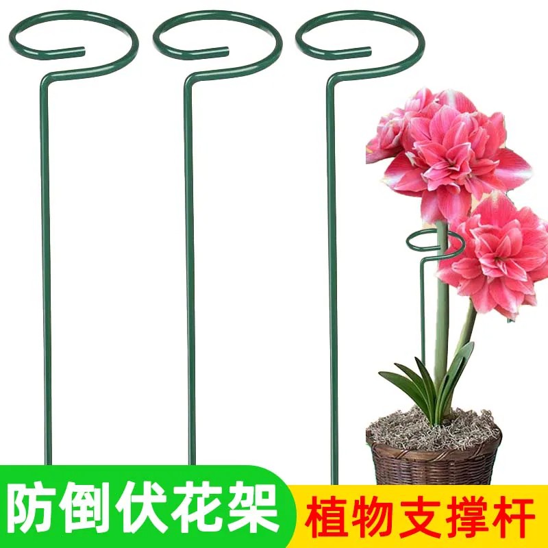 铁艺花架防倒伏爬藤绣球兰花图片