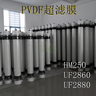 污水中水过滤中空纤维超滤膜SFP2880/2860款超滤膜替代型号超滤膜