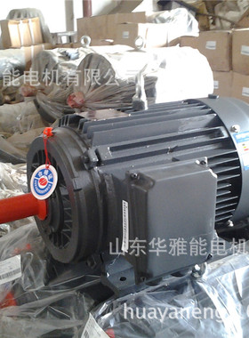 可替代湘潭电机YE4-90S-6-0.75KW立式卧式上线侧线380V IP55电机