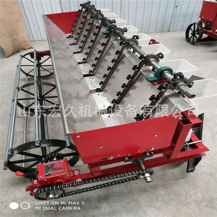 大蒜小型播种机 漏苗几率低 省人工 大蒜种植机