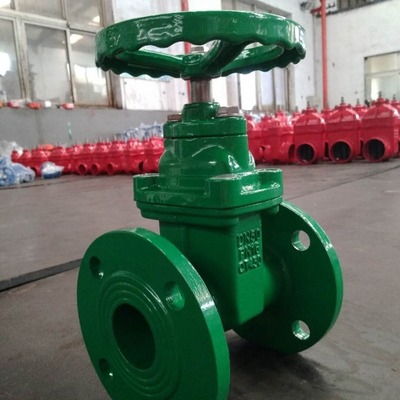 销售弹性座封闸阀 Z45X-16Q 球磨铸铁软密封暗杆闸阀 DN450