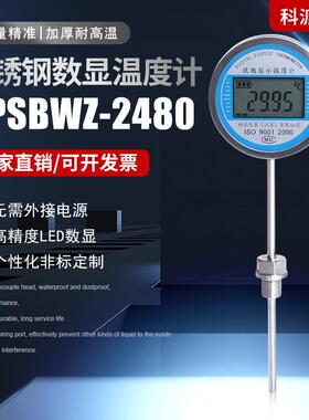 数显温度计带探头WST/DTM-491高精度电子工业防水数字水温表油温
