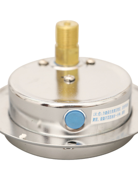 耐震压力表YN100ZT轴向带边表盘固定式压力表气压水压油压液压表