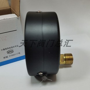 储气罐压力表杭州鹳山鹤山管道水压表气压表蒸汽压力表Y100/Y100Z