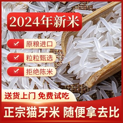 农科院梯田猫牙米2024新米贵州梯田长粒香米五常大米官方旗舰店