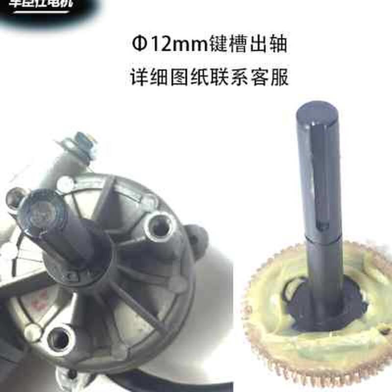 现货车臣仕电机 大扭矩蜗轮蜗杆直流减速电机24v铜涡轮洗键槽减速