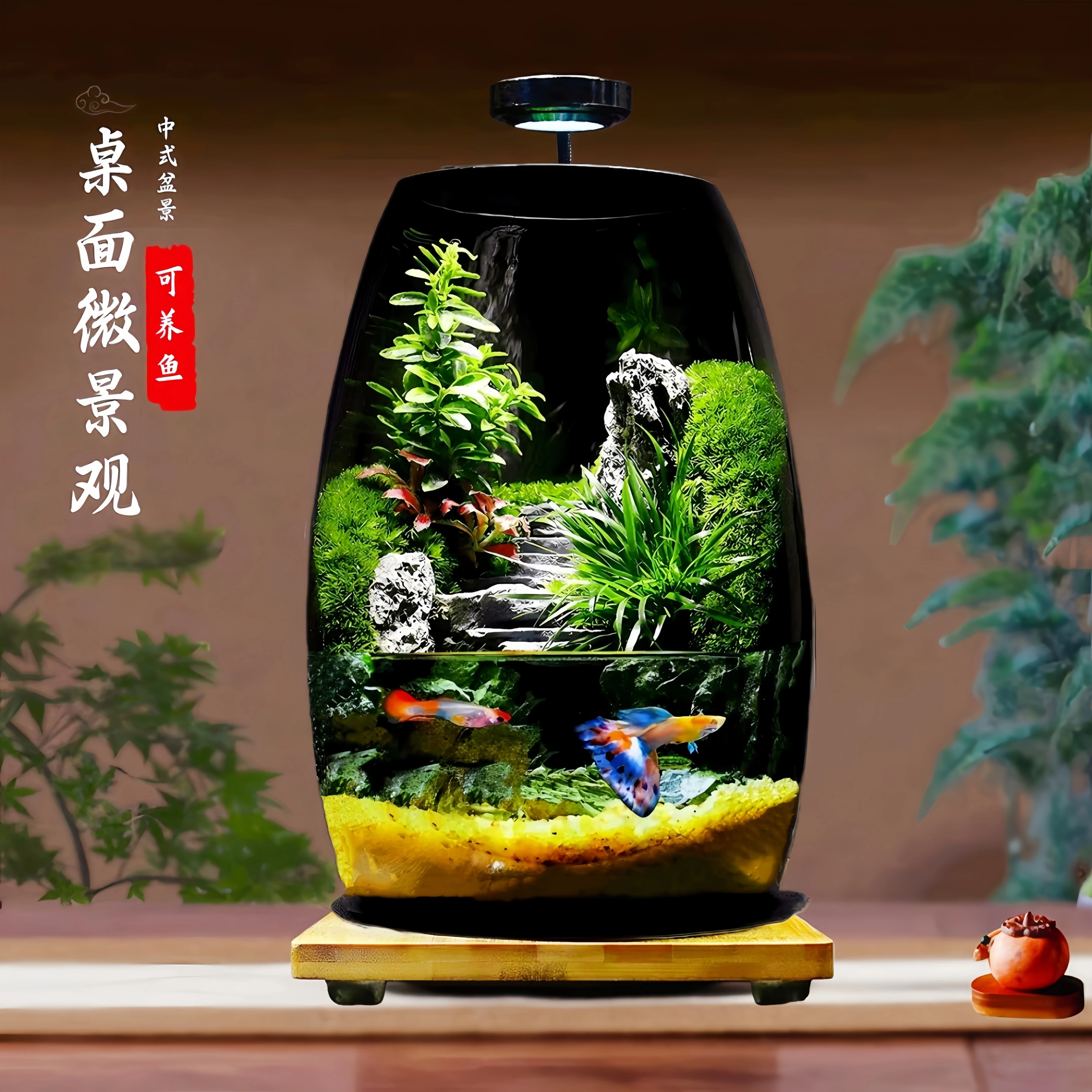 小世界森林可养鱼雨林生态鱼缸